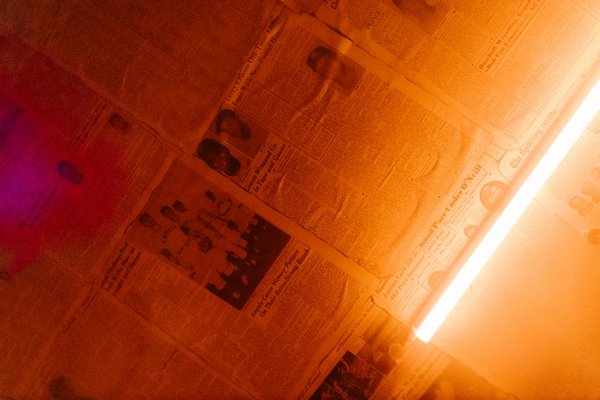 How Do Pets Affect British Families' Daily Routines?